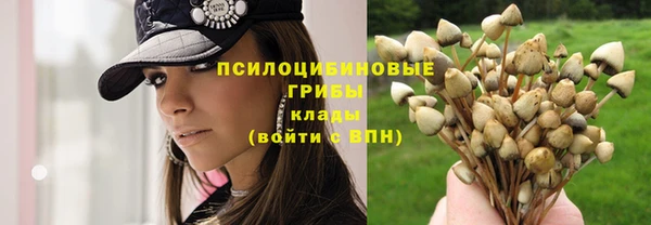 прущий лед Верея