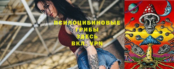 PSILOCYBIN Тихвин