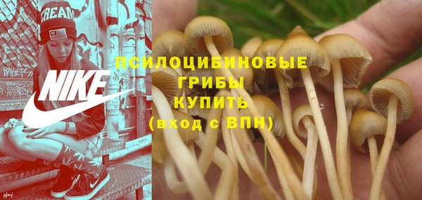 прущий лед Верея