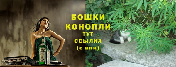 PSILOCYBIN Тихвин