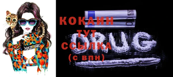 прущий лед Верея